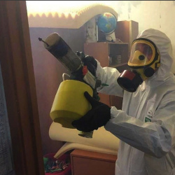 Уничтожение клопов в квартире. Яхрома